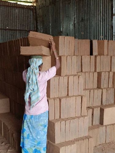 Low EC Coir Pith Blocks