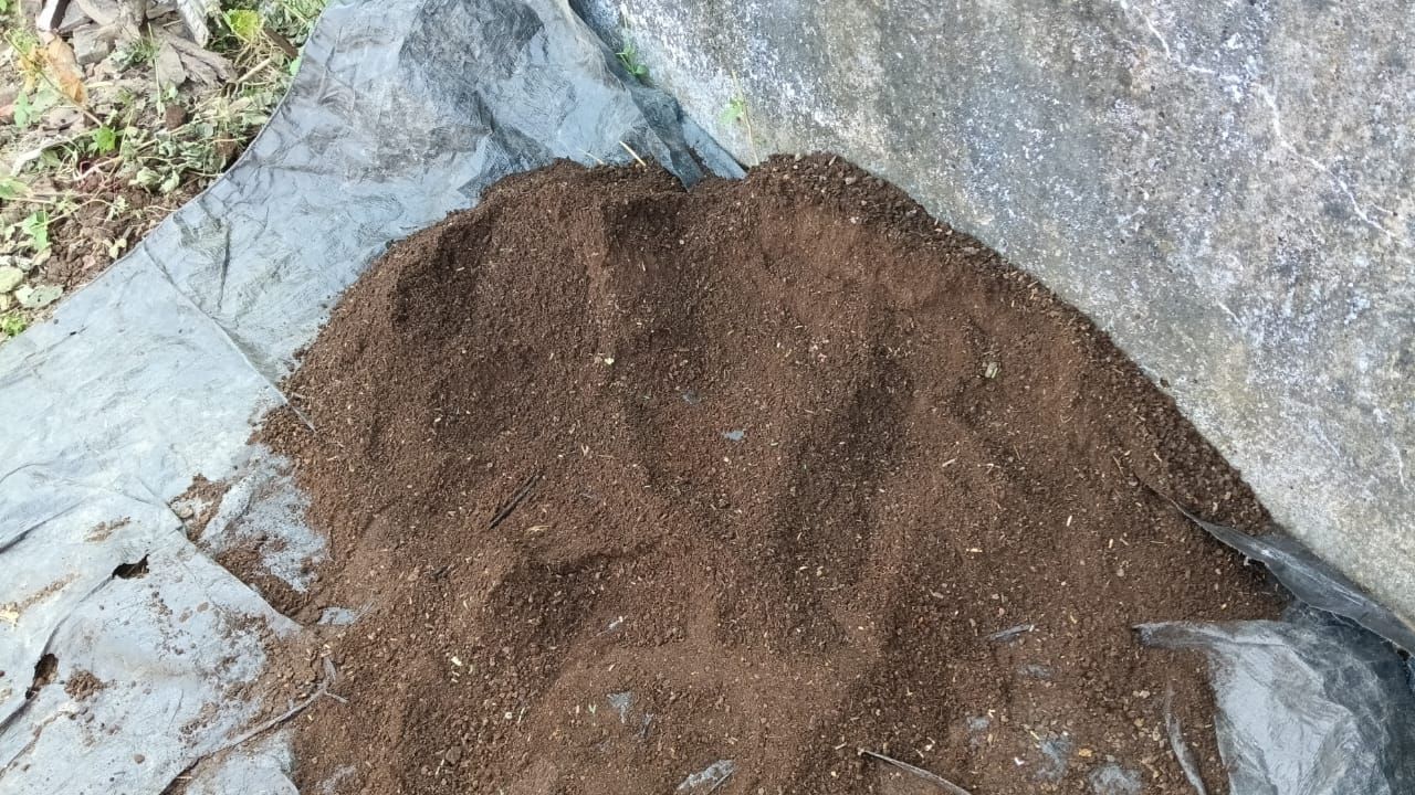 Cow Dung Compost Manure