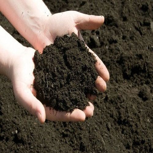 Organic Vermicompost
