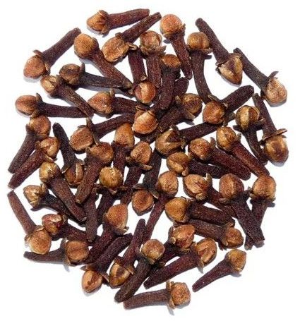 Brown Madagascar Clove