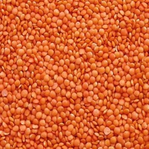 Red Masoor Dal