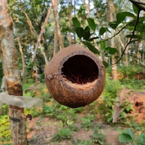 Coconut Shell Bird Nest