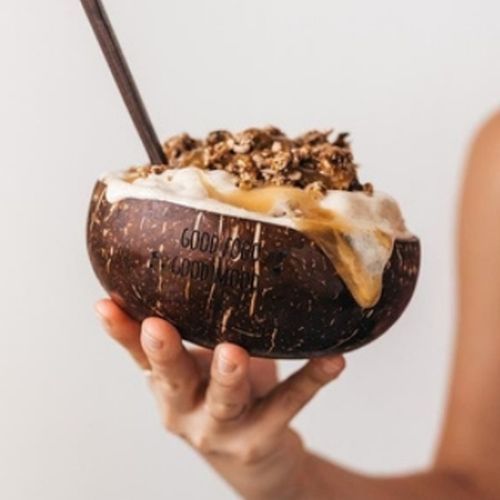 Coconut Shell Ice Cream Cups