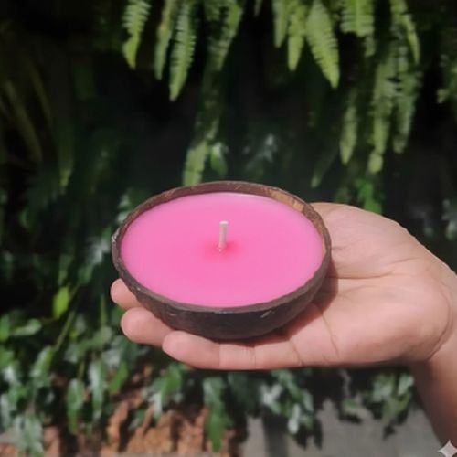 Coconut Shell Pink Diya