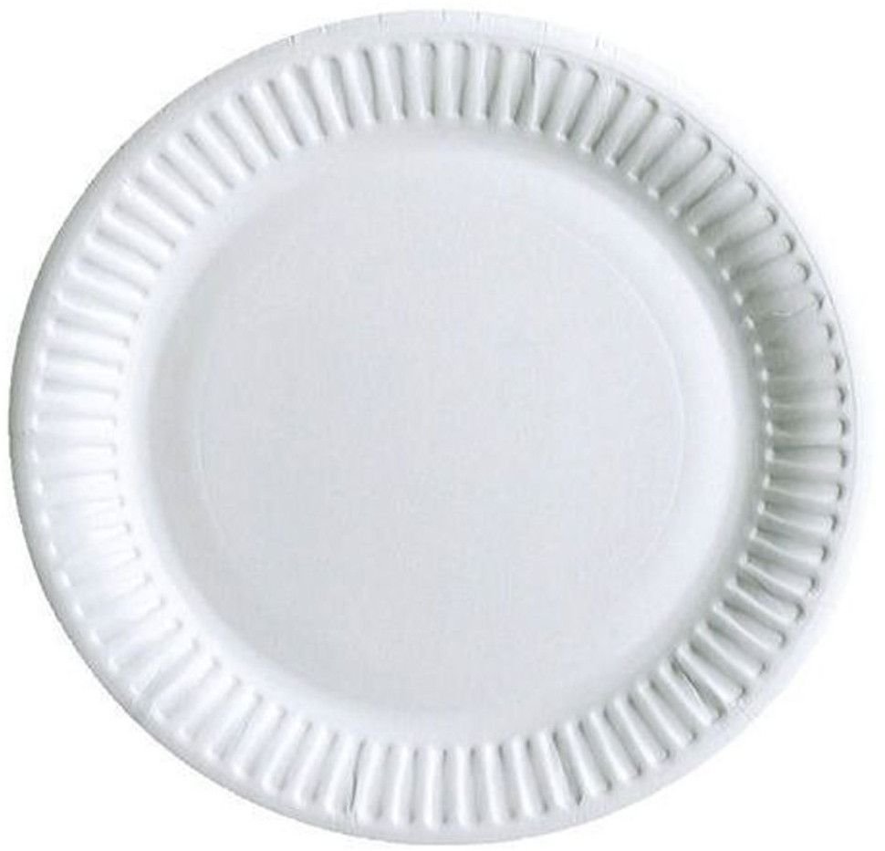 10 Inch Plain Paper Plates