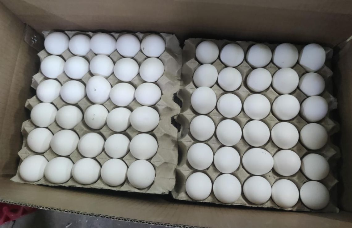 White Eggs