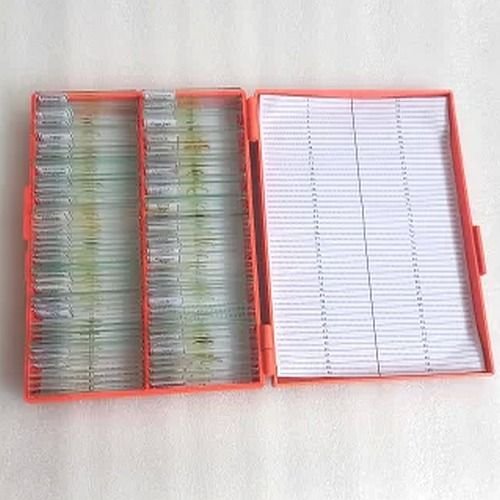 Glass Prepared Microscope Slide