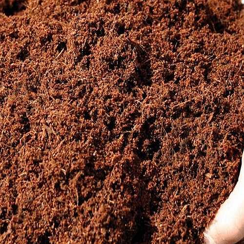 High Nutrient Vermicompost Powder