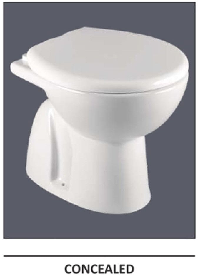 Concealed Ceramic Western Toilet Seat