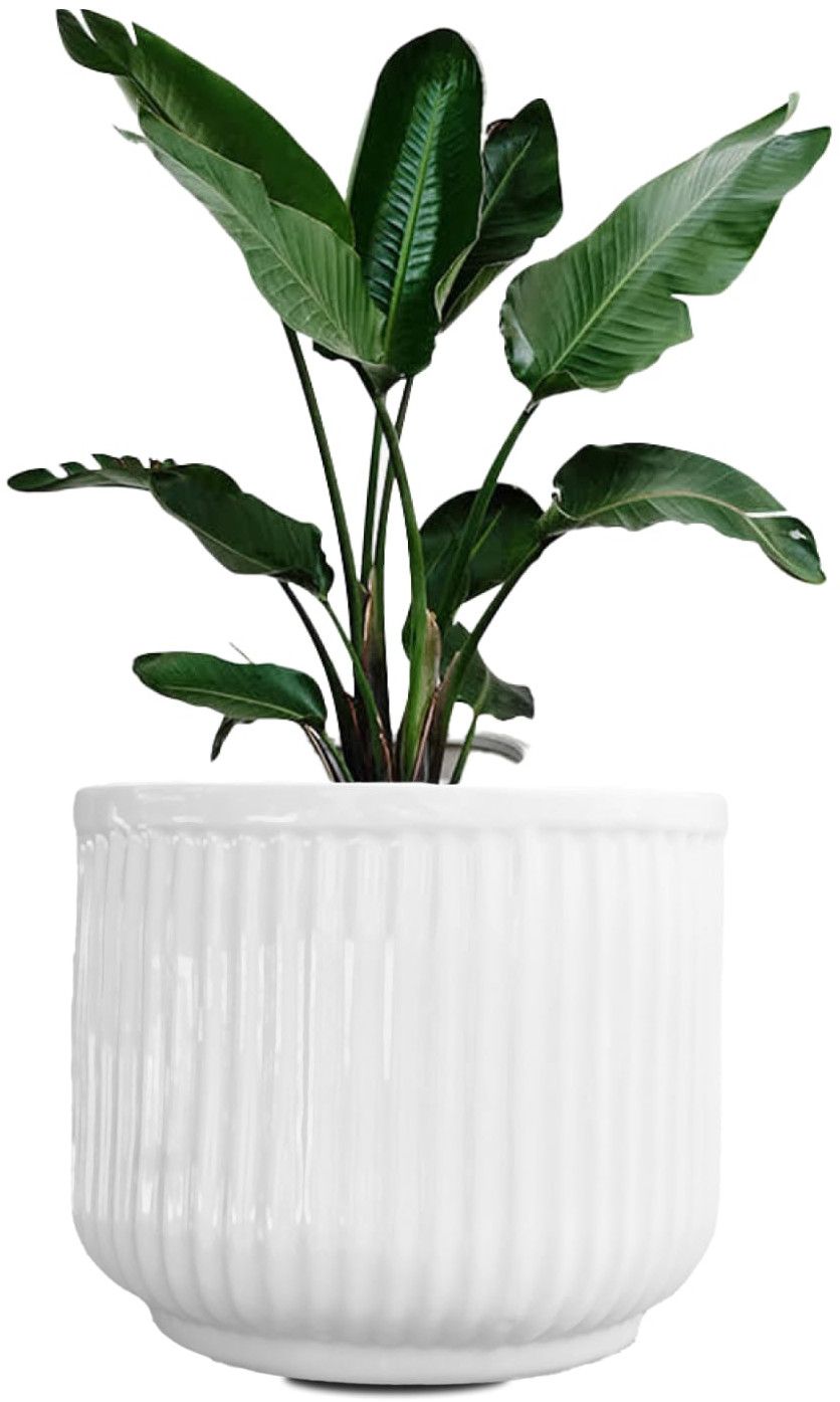 Decorative Ceramic Flower Pot