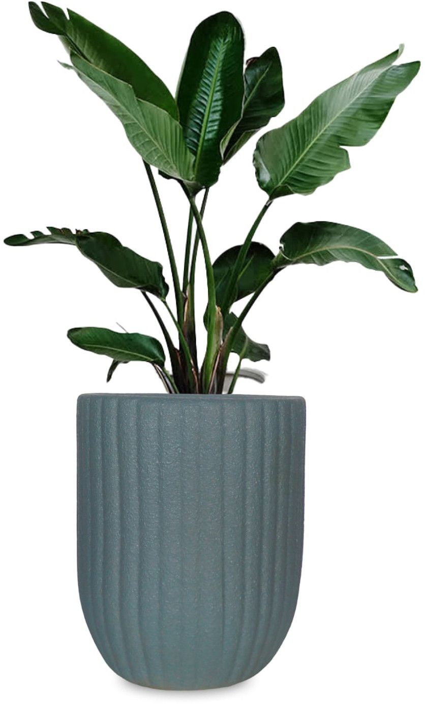 Ceramic Flower Pot