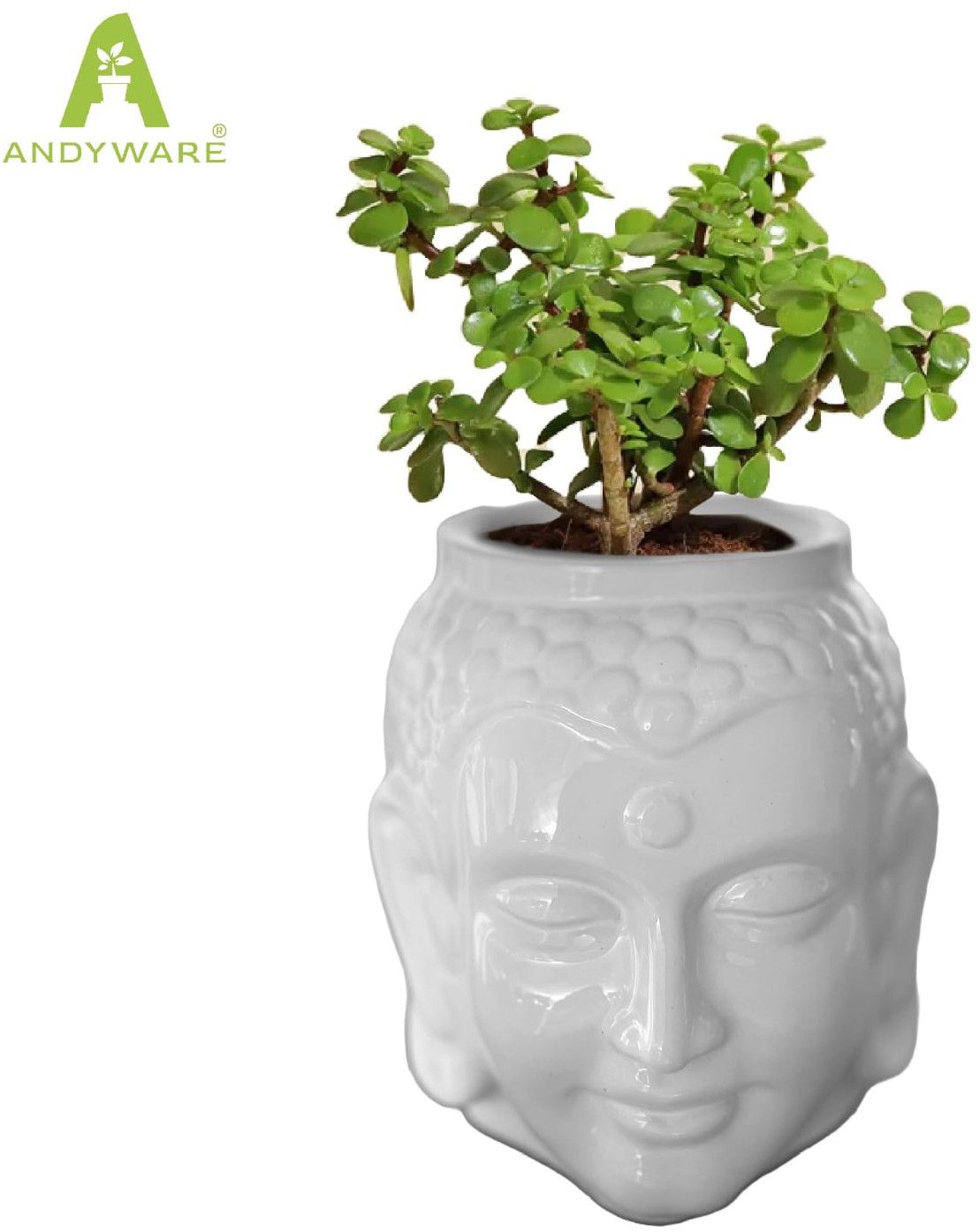 Premium Ceramic Flower Pot