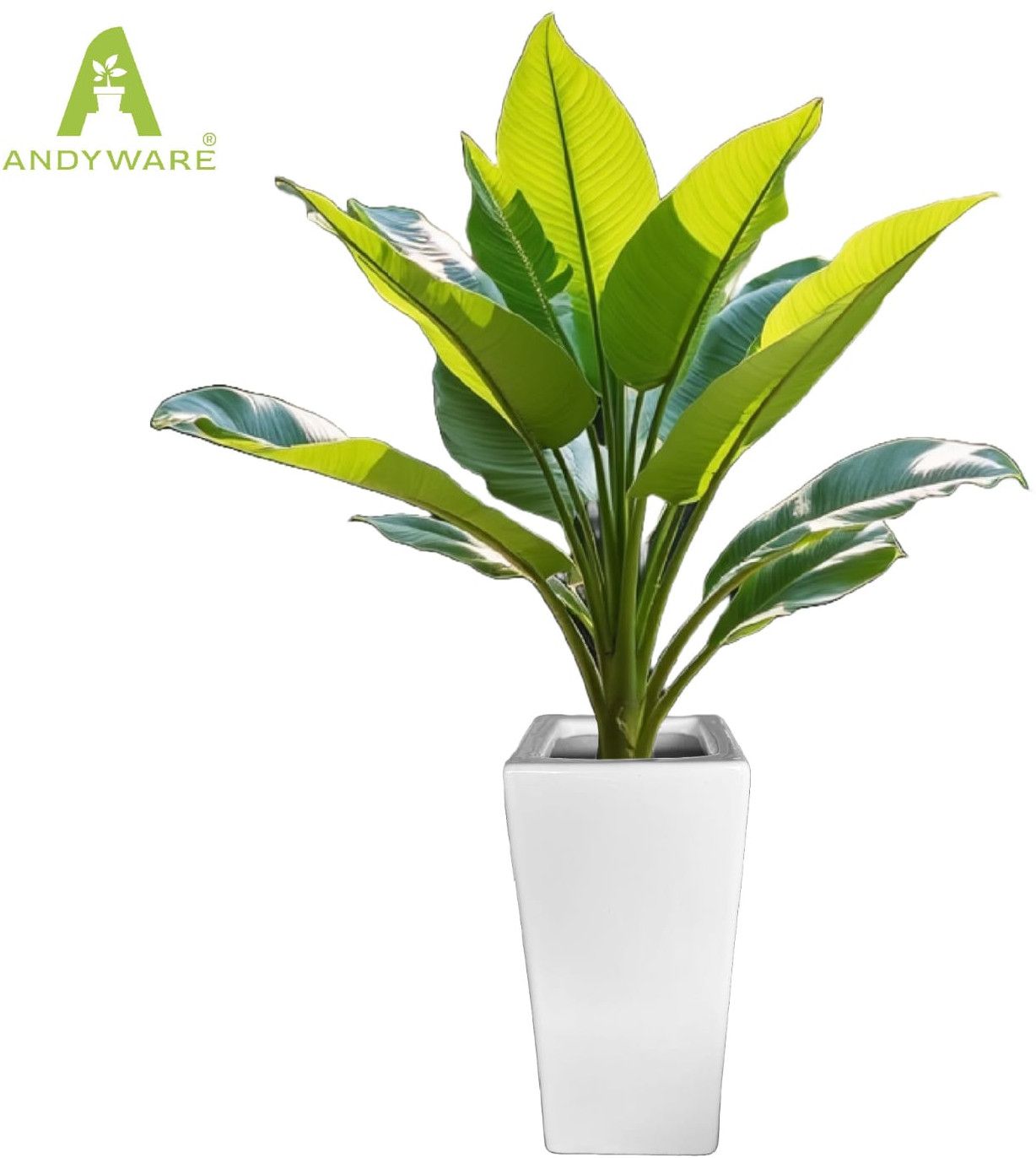 White Ceramic Flower Pot