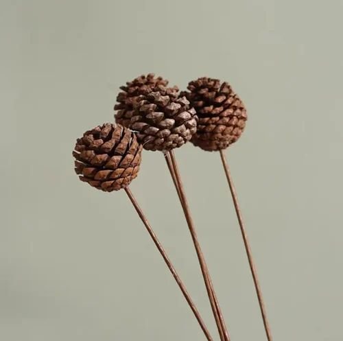 10 Inch Natural Pine Cone