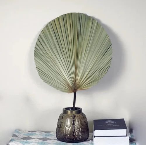12 Inch Tropical Dried Palm Leaf