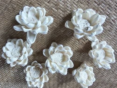3 Inch Off White Sola Flower
