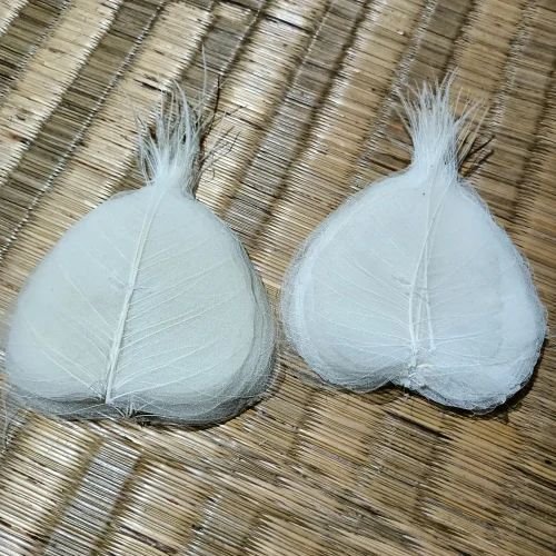 3 Inch White Skeleton Leaves