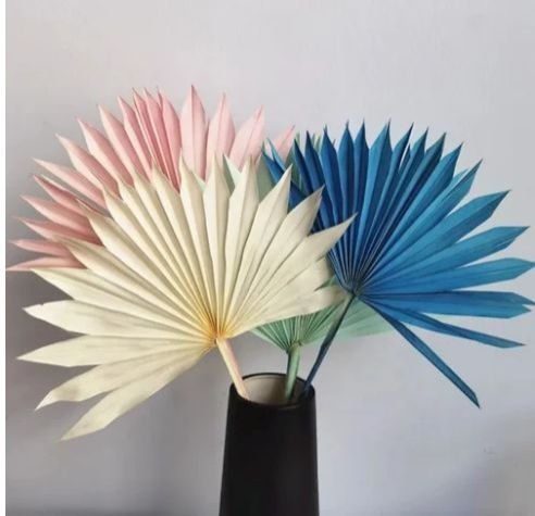 8 Inch Naturl Dried Sun Palm Leave