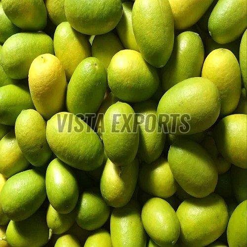 A Grade Kaji Nemu Lemon