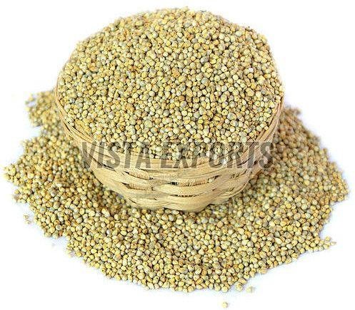 Pearl Millet Seeds