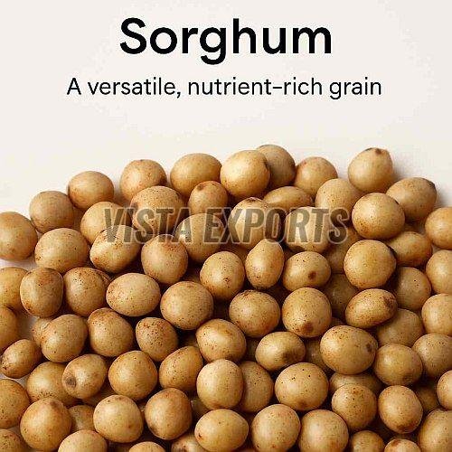 Sorghum Millet Seeds