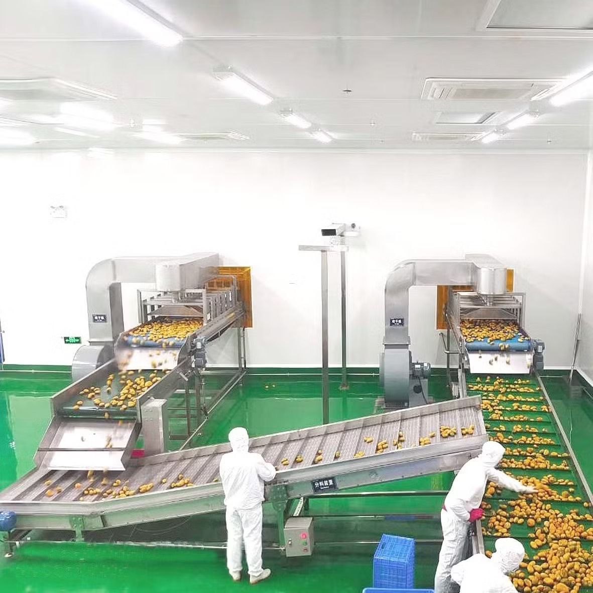 Automatic Fruit Juice Processing Plant