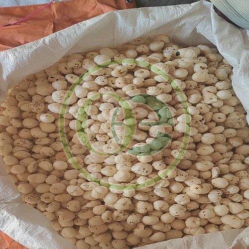 7 Suta Phool Makhana