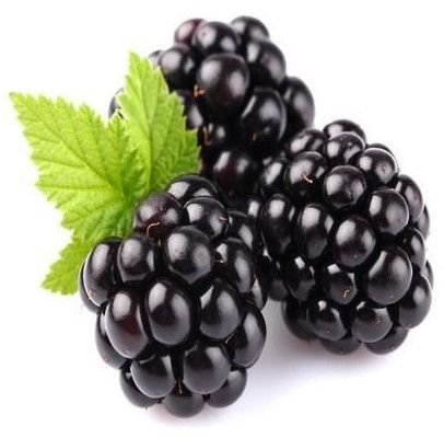 Farm Fresh Blackberry