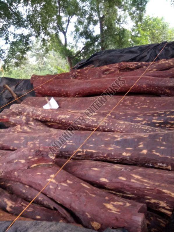 Red Sandalwood Logs