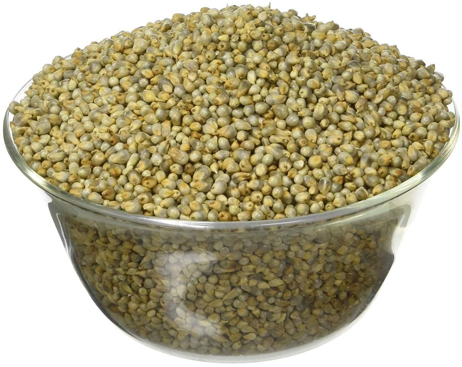 Pearl Millet Collection