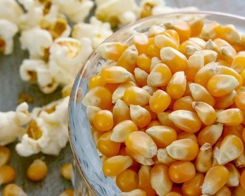 Yellow Organic Whole Maize