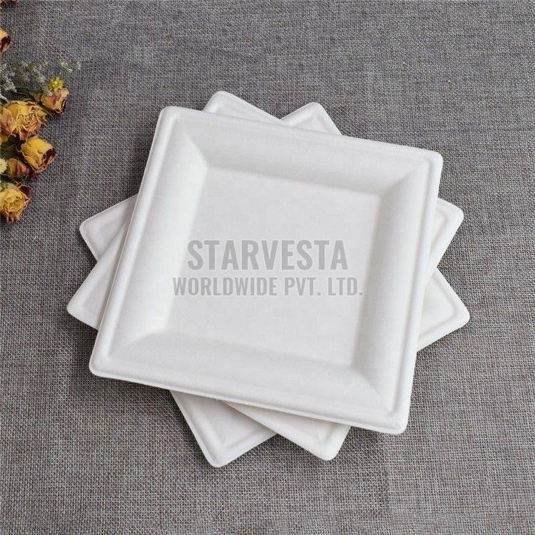 Square Sugarcane Bagasse Disposable Plate