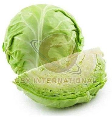 A Grade Fresh Cabbage