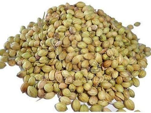 Coriander Seeds