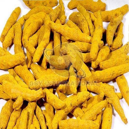 Dry Turmeric Finger