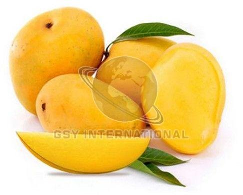Fresh Alphonso Mango