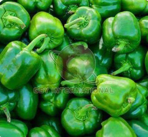 Fresh Green Capsicum