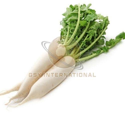 Fresh Radish