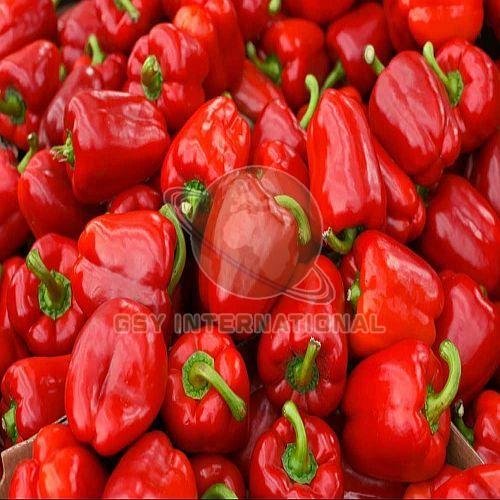 Fresh Red Capsicum
