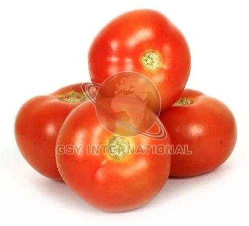 Fresh Red Tomato