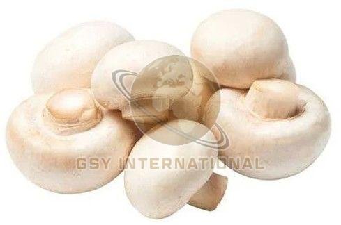 Fresh White Button Mushroom