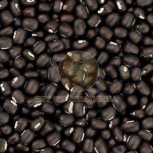 Whole Black Urad Dal