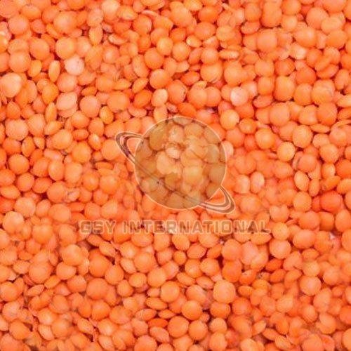 Whole Red Masoor Dal