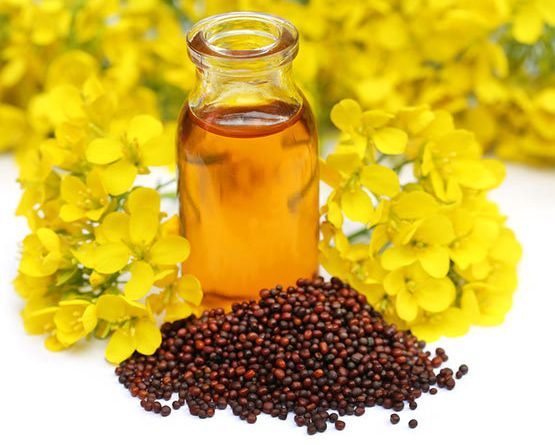 Mustard Oil