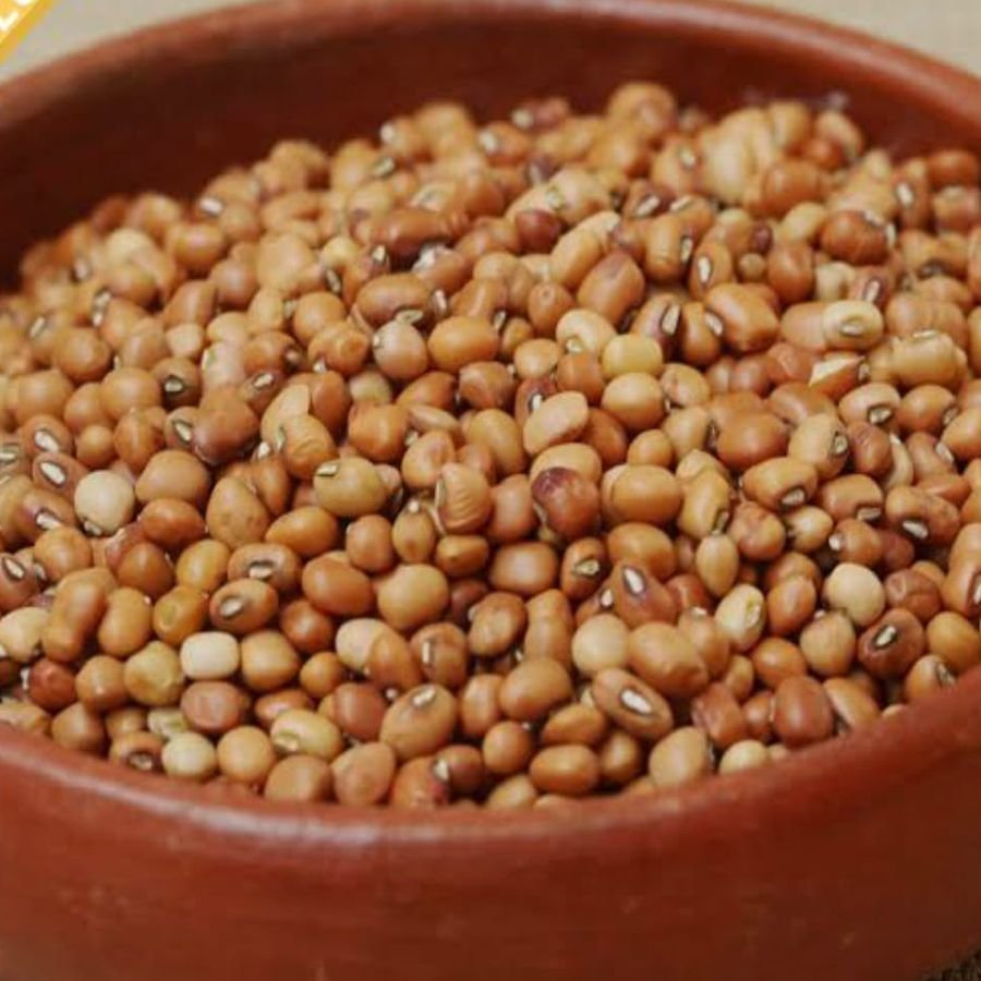 Dried Cow Peas