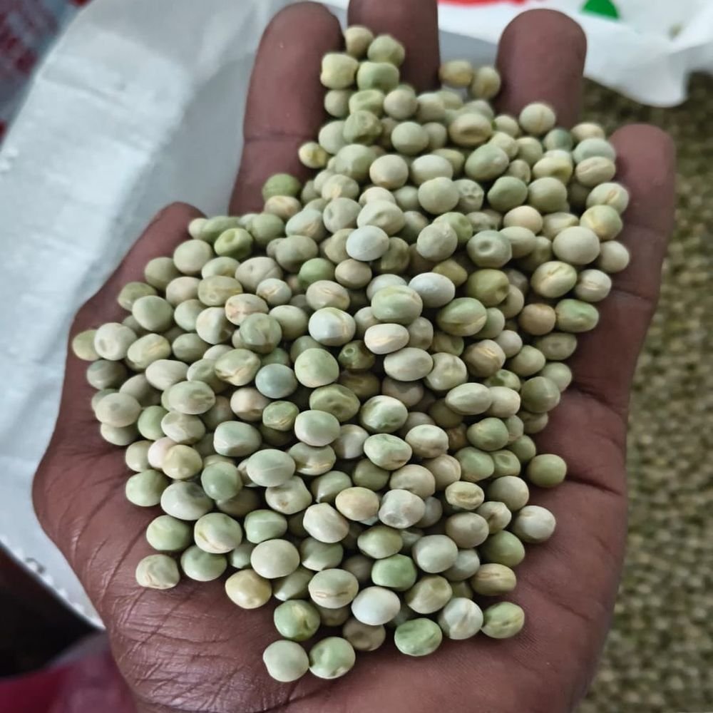 Dried Green Peas