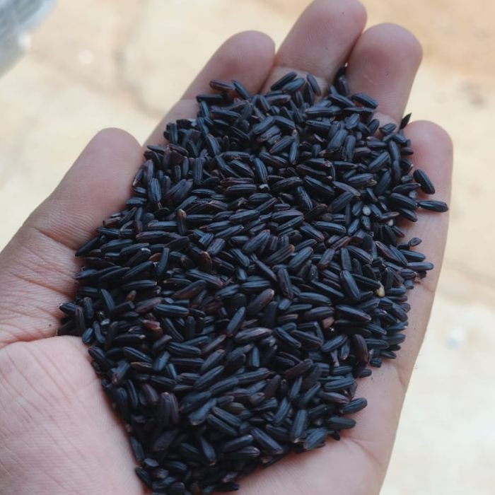 Kavuni Black Rice