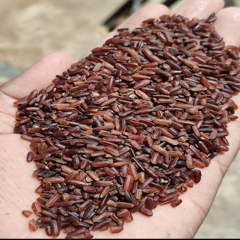 Kavuni Red Rice