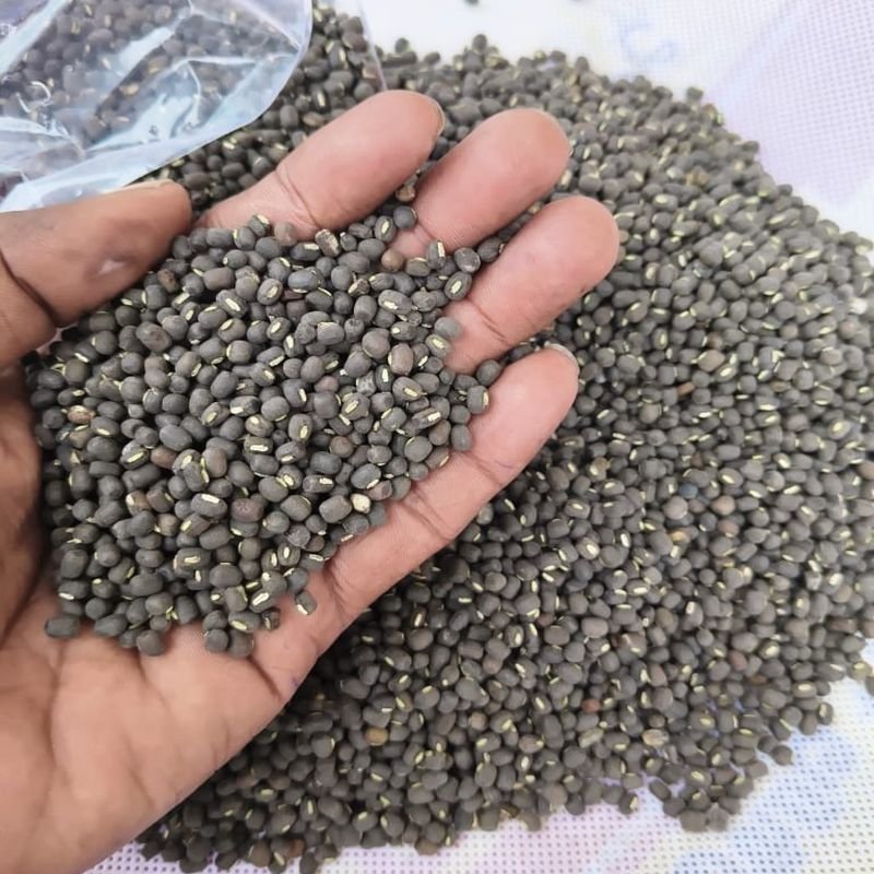 Whole Black Urad Dal