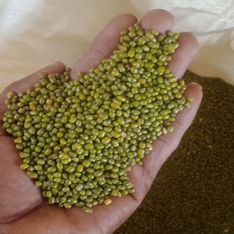 Whole Green Moong Dal